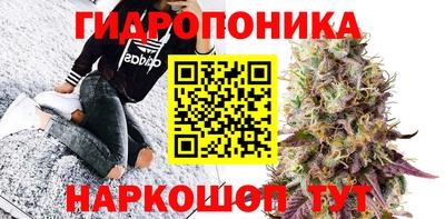 крисы Нарткала