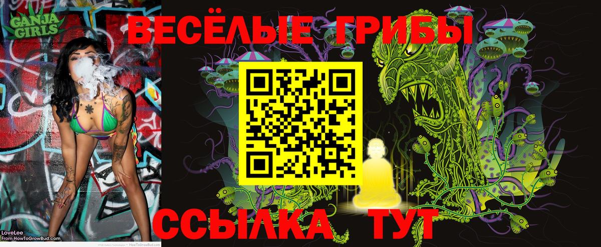 Галлюциногенные грибы прущие грибы  Вход с VPN  Стрежевой 